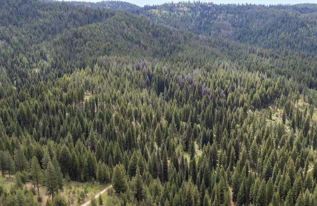 TBD 38 Clear Creek Road, Cascade, ID 83611 - #1