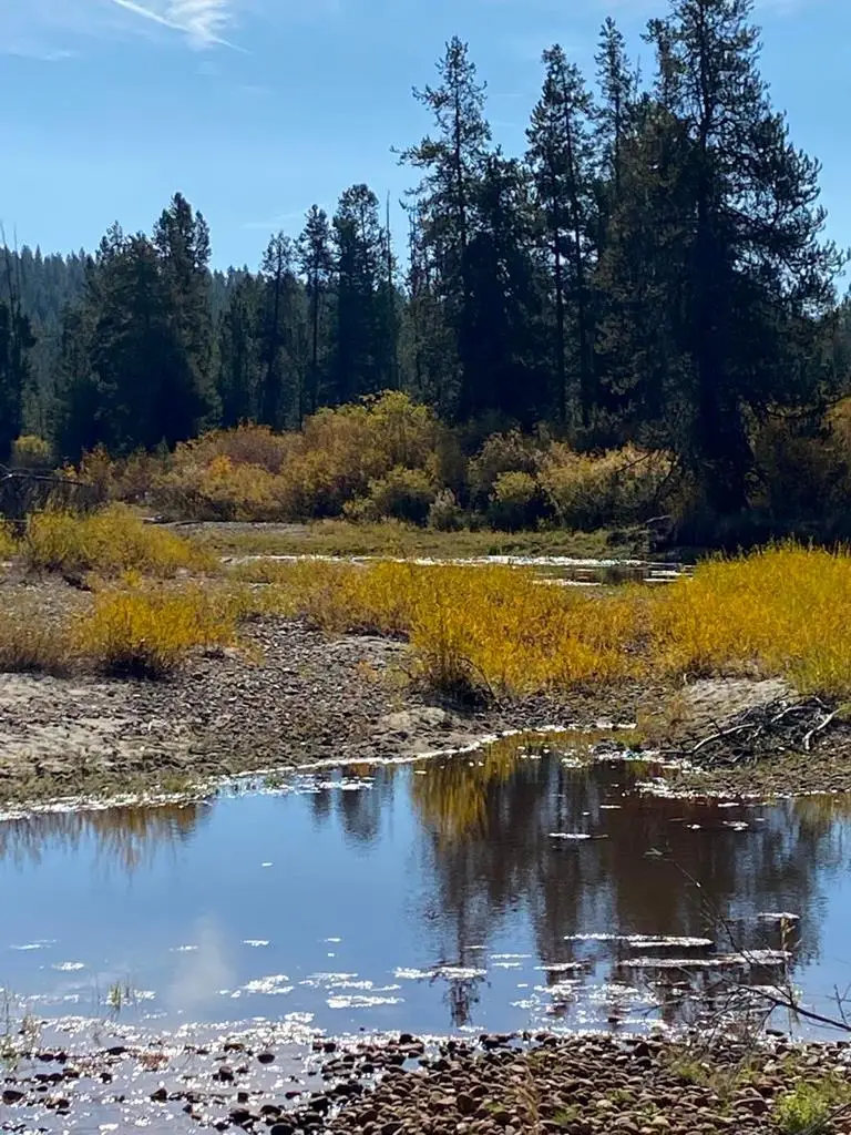Lot 2 Empty Saddle Way, Donnelly, ID 83615 - #1