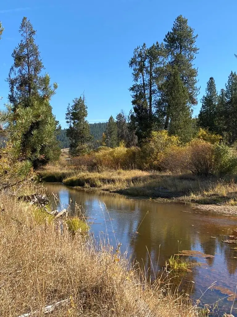 Lot 7 Empty Saddle Way, Donnelly, ID 83615 - #1