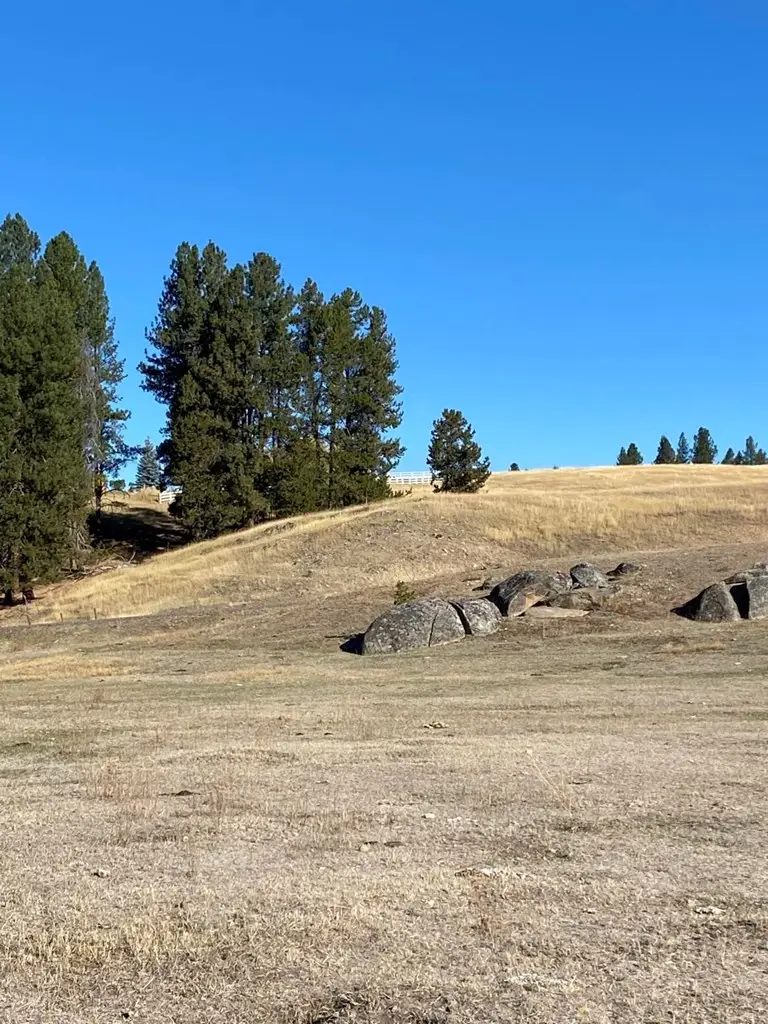 Lot 7 Empty Saddle Way, Donnelly, ID 83615 - #3