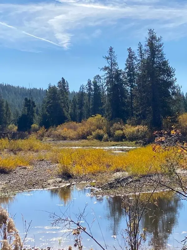 Lot 11 Gold Fork Road, Donnelly, ID 83615