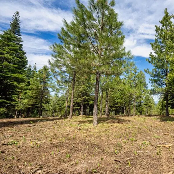 Lot 3 To Be Determined, McCall, ID 83638