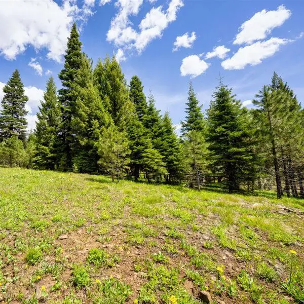 Lot 6 To Be Determined, McCall, ID 83638 - #1