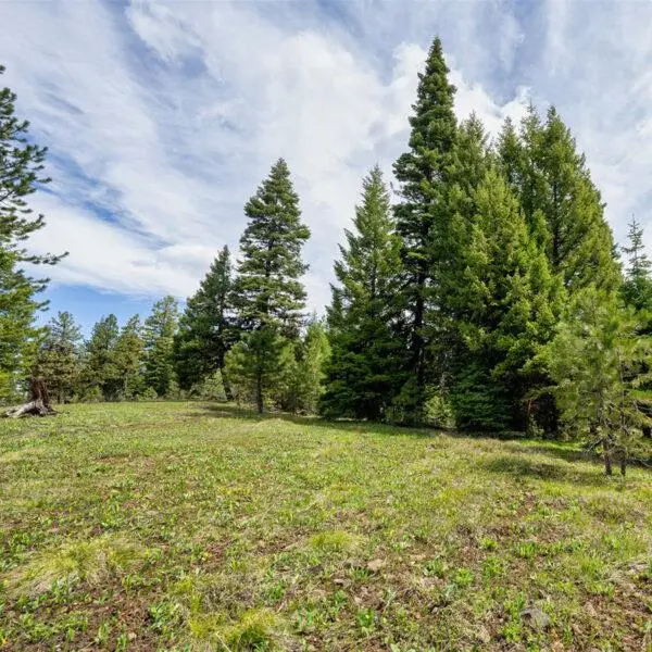 Lot 7 To Be Determined, McCall, ID 83638 - #1