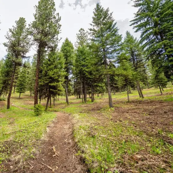 Lot 8 To Be Determined, McCall, ID 83638 - #1