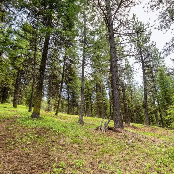Lot 8 To Be Determined, McCall, ID 83638 - #2