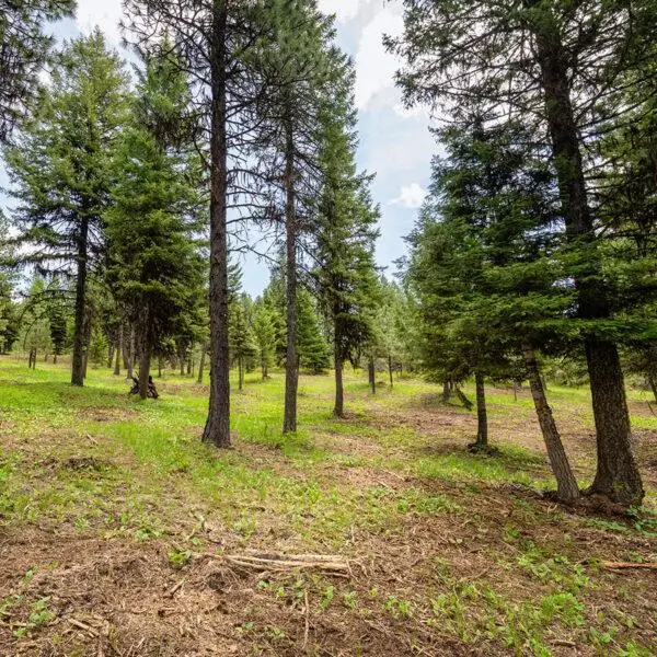 Lot 9 To Be Determined, McCall, ID 83638 - #1