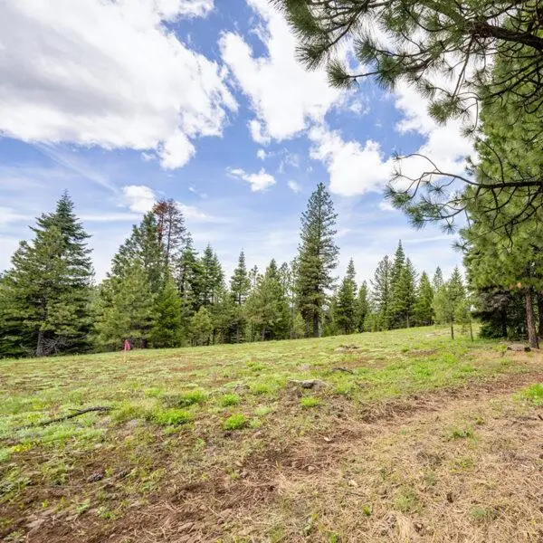 Lot 10 To Be Determined, McCall, ID 83638 - #1