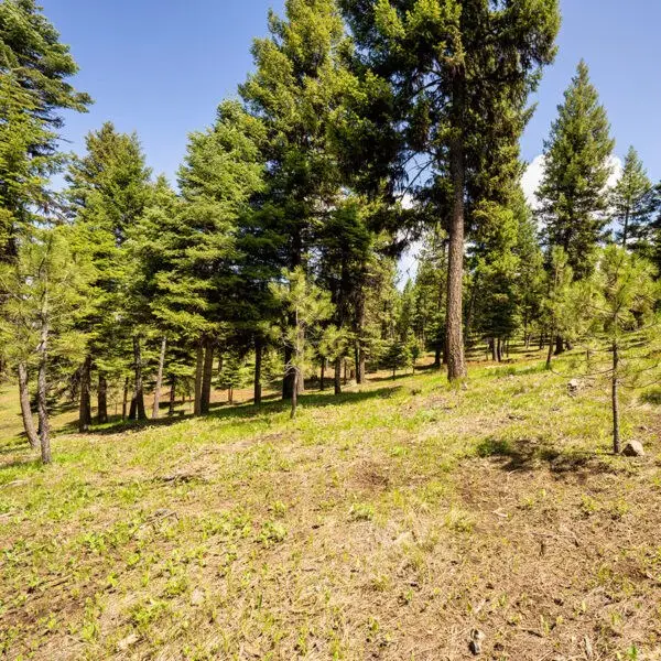 Lot 12 To Be Determined, McCall, ID 83638 - #2
