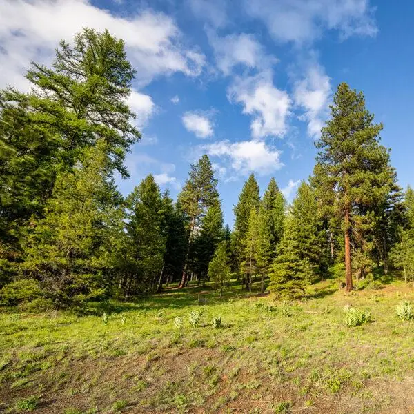 Lot 17 To Be Determined, McCall, ID 83638 - #1