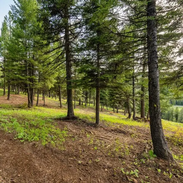 Lot 18 To Be Determined, McCall, ID 83638 - #1
