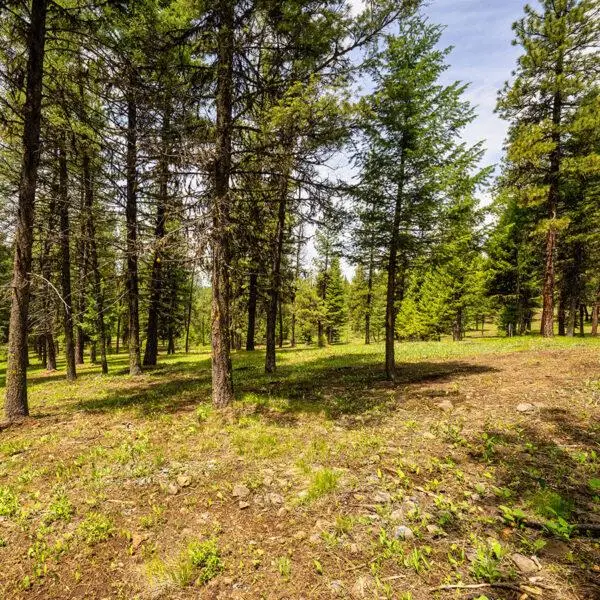 Lot 20 To Be Determined, McCall, ID 83638 - #1