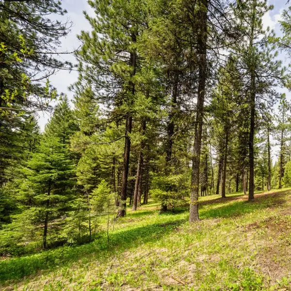 Lot 20 To Be Determined, McCall, ID 83638 - #2