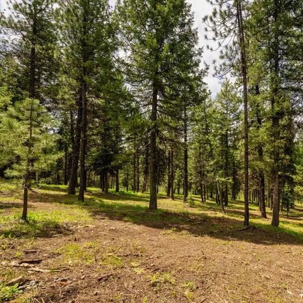 Lot 21 To Be Determined, McCall, ID 83638 - #1