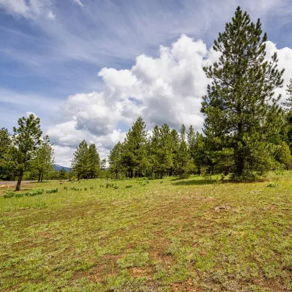 Lot 22 To Be Determined, McCall, ID 83638 - #1