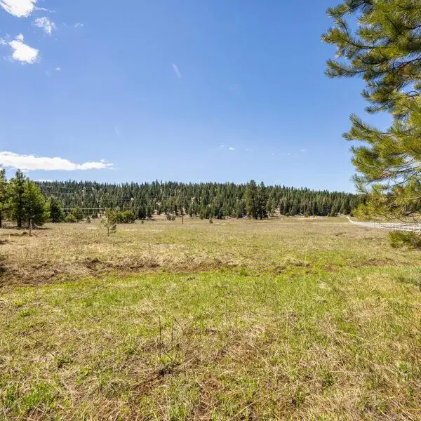 Lot 24 To Be Determined, McCall, ID 83638 - #1
