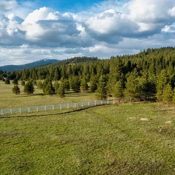 Lot 24 To Be Determined, McCall, ID 83638 - #2