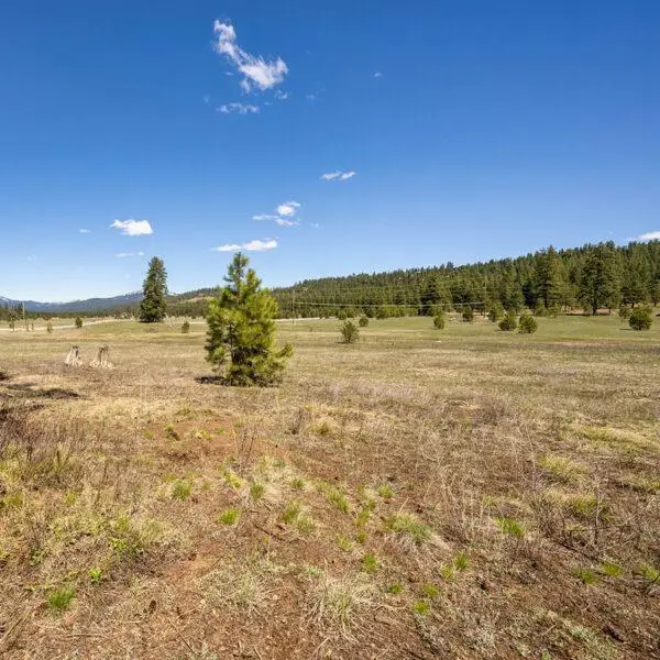 Lot 25 To Be Determined, McCall, ID 83638