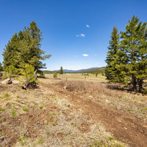 Lot 26 To Be Determined, McCall, ID 83638 - #2