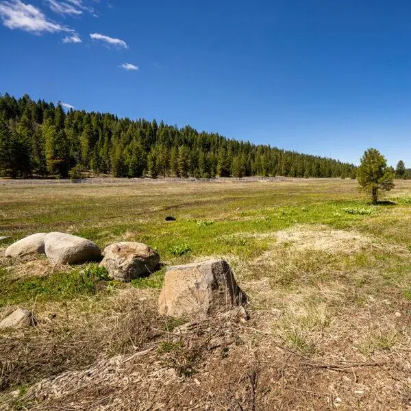 Lot 29 To Be Determined, McCall, ID 83638 - #1