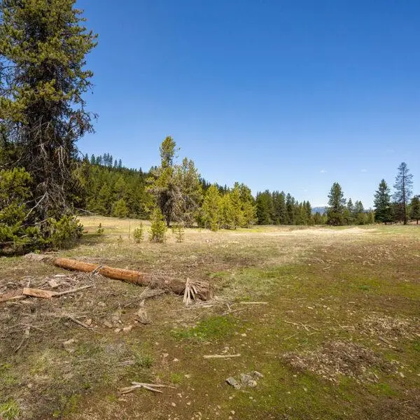 Lot 31 To Be Determined, McCall, ID 83638 - #1