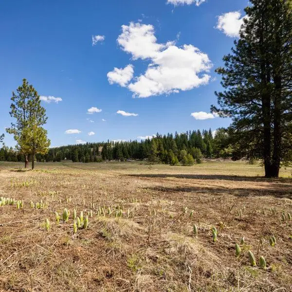 Lot 32 To Be Determined, McCall, ID 83638 - #1