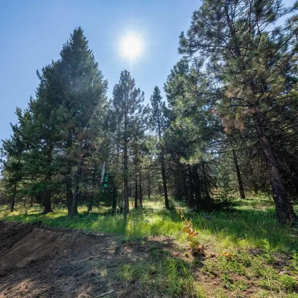 Lot 33 To Be Determined, McCall, ID 83638 - #2