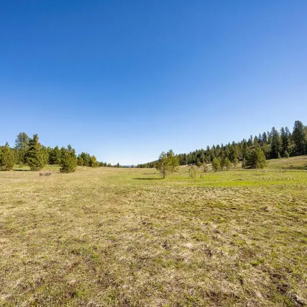 Lot 34 To Be Determined, McCall, ID 83638 - #1
