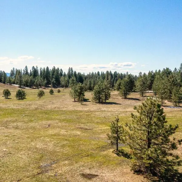 Lot 36 To Be Determined, McCall, ID 83638 - #1