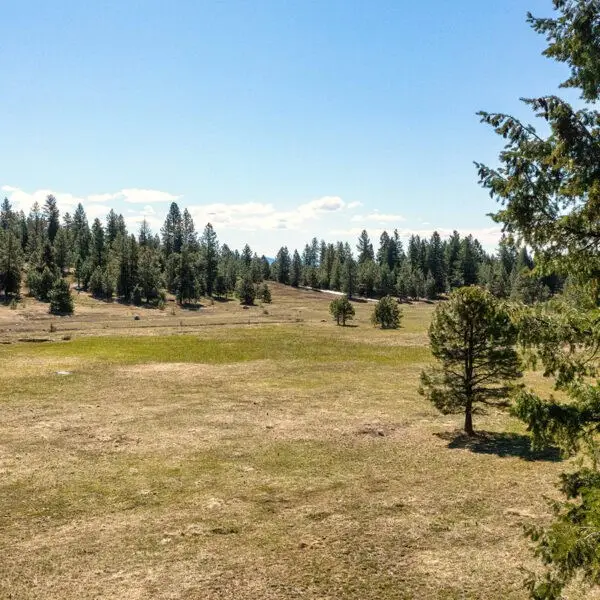 Lot 36 To Be Determined, McCall, ID 83638 - #2