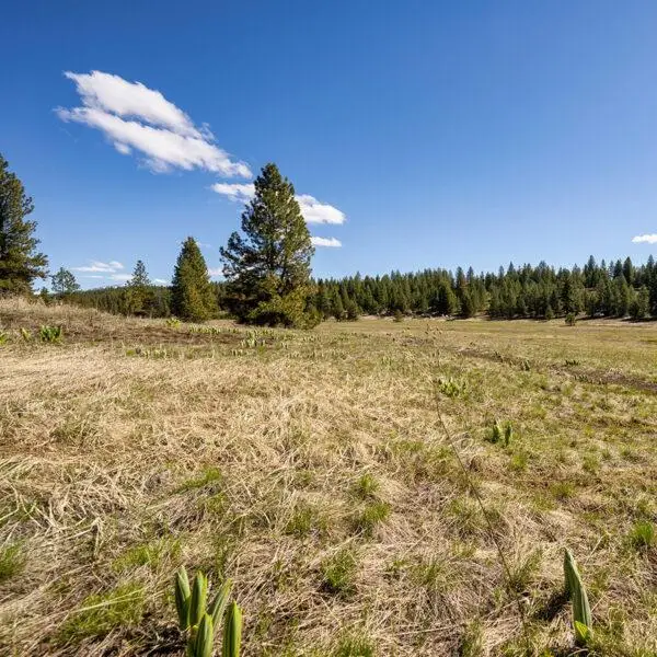 Lot 37 To Be Determined, McCall, ID 83638 - #1