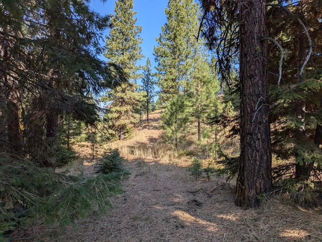 TBD Harrington Place, McCall, ID 83638 - #1