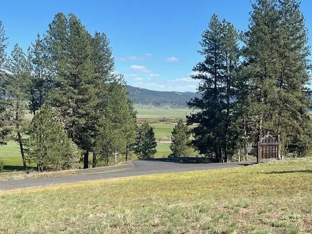B11, L9 Hot Springs Road, New Meadows, ID 83654 - #1