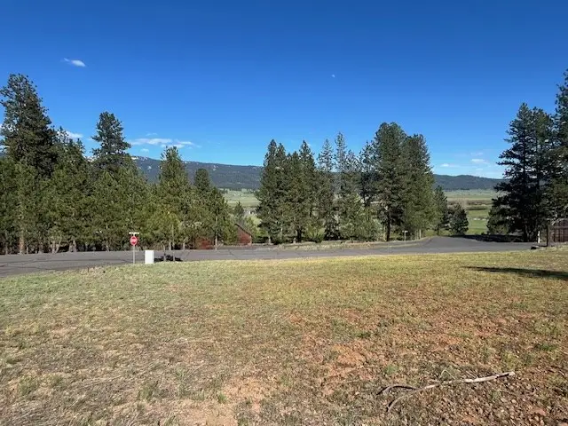 B11, L9 Hot Springs Road, New Meadows, ID 83654 - #2