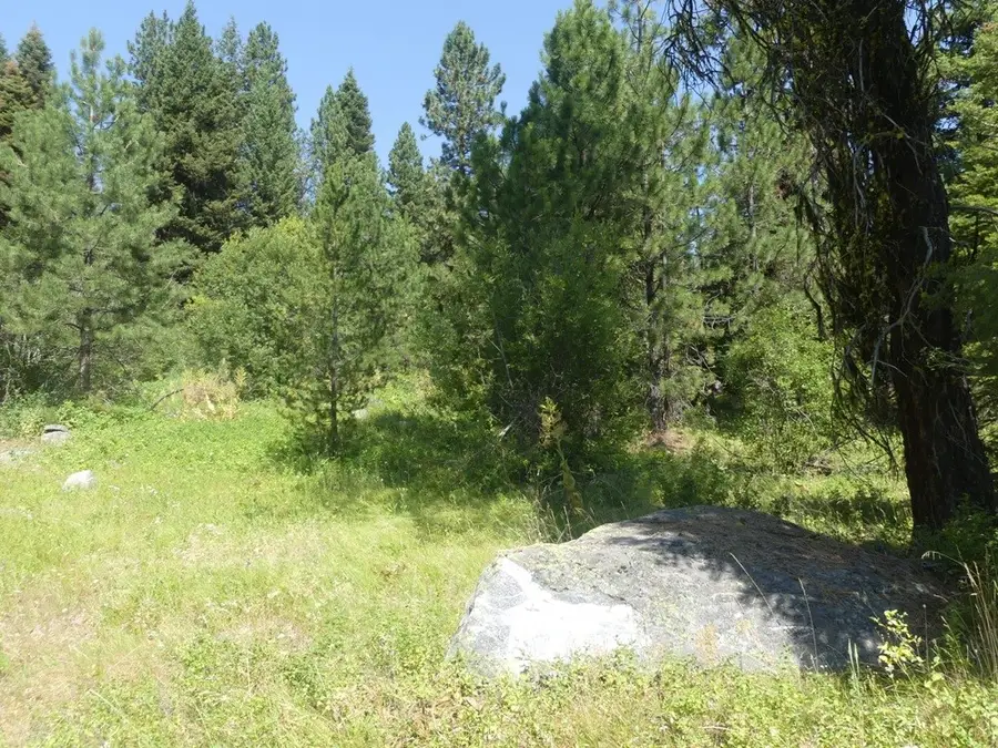 1625 Lakeridge Drive, McCall, ID 83638 - #3
