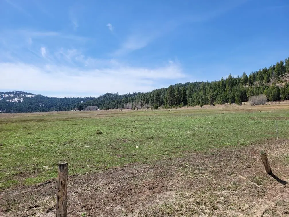 TBD Gray Lane, Cascade, ID 83611 - #1