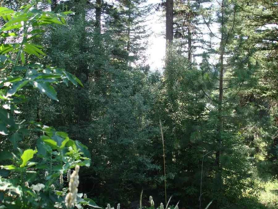 Lot 68 Aspen Ridge Lane, McCall, ID 83638 - #3