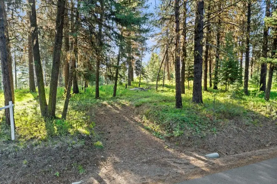 320 Blackhawk Lake Drive, McCall, ID 83638 - #2