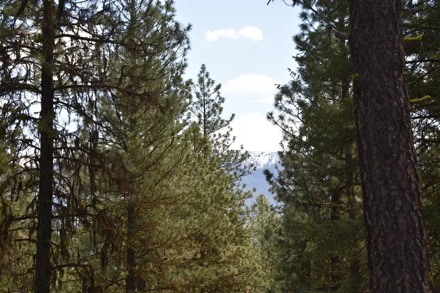 TBD Syringa Drive, New Meadows, ID 83654 - #3