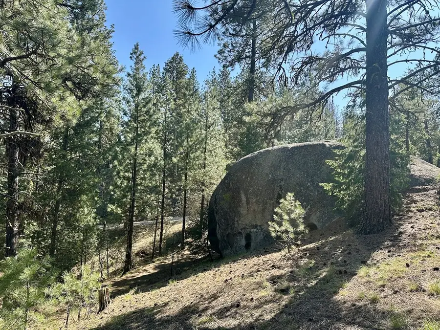 37 Stanley Drive, Cascade, ID 83611 - #2