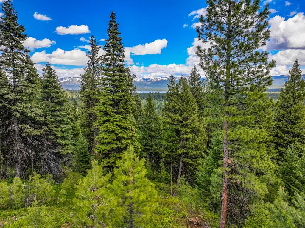 532 Osprey View Drive, McCall, ID 83638 - #1