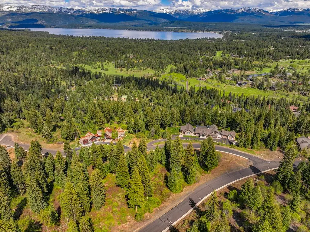 663 Lichen Lane, McCall, ID 83638 - #1