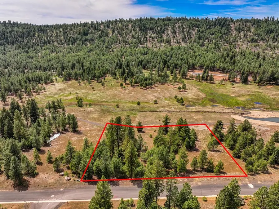 5601 Lupine Lane, McCall, ID 83638 - #3