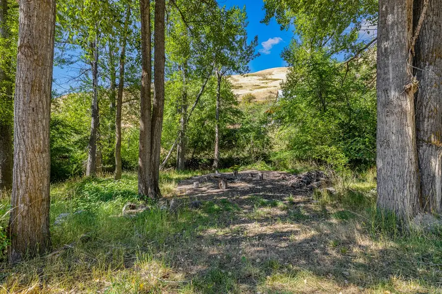 192 Shingle Creek Road, Riggins, ID 83549 - #3