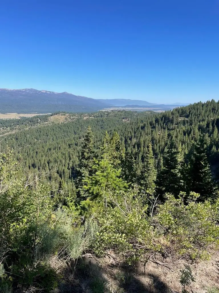 TBD 80 W Round Valley Road, Cascade, ID 83611 - #1
