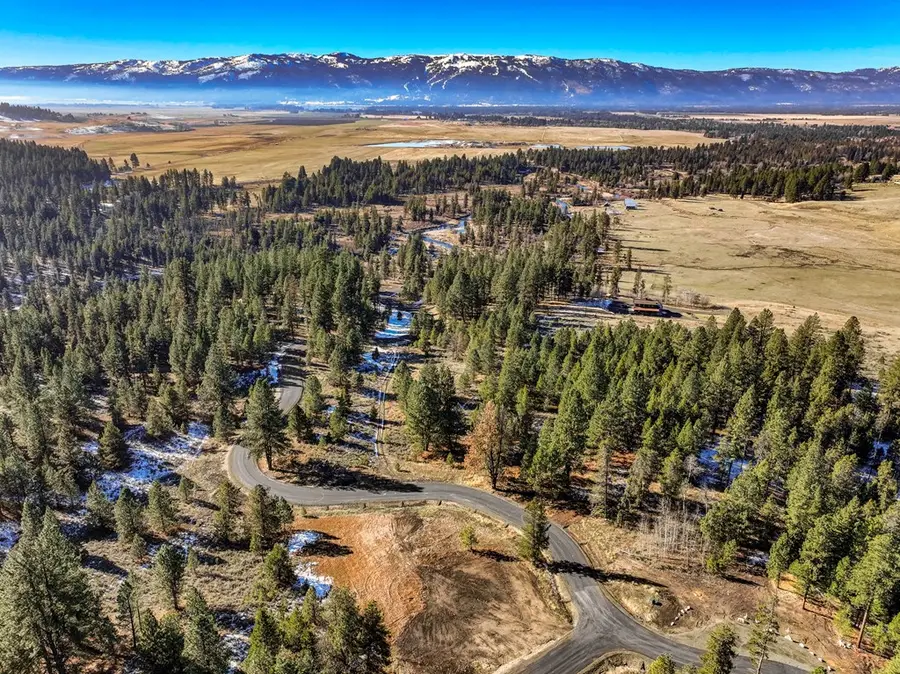 Lot 2 Hideout Drive, Donnelly, ID 83615 - #3