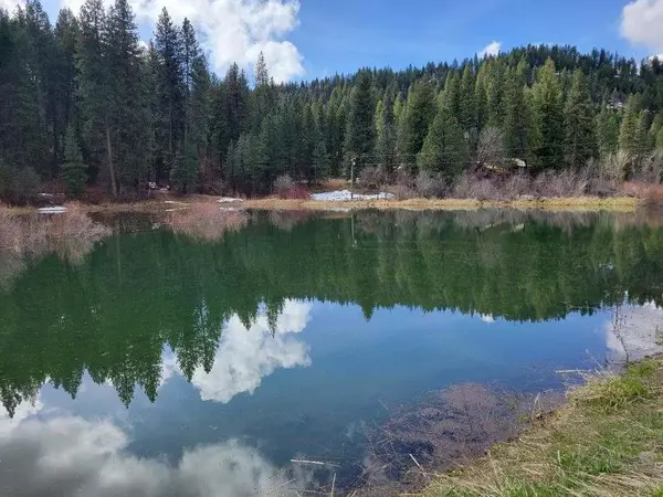 TBD Peaceful Pines Road, Council, ID 83612