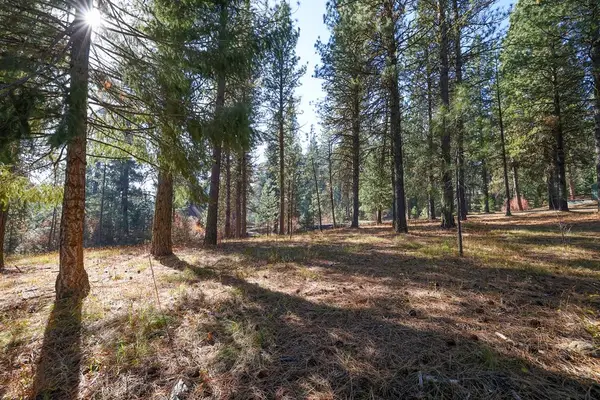 TBD Columbine Drive, New Meadows, ID 83654