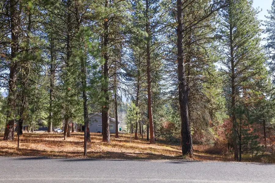 TBD Columbine Drive, New Meadows, ID 83654 - #3
