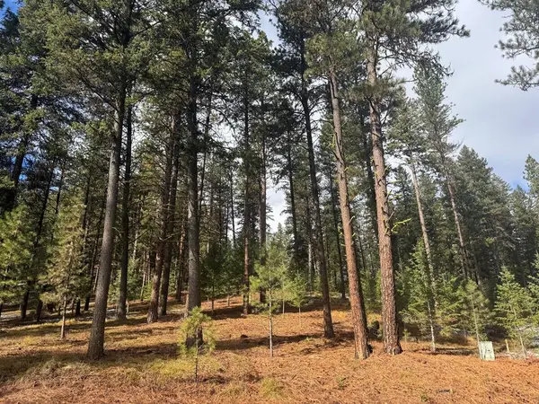 TBD Sorrel Drive, New Meadows, ID 83654